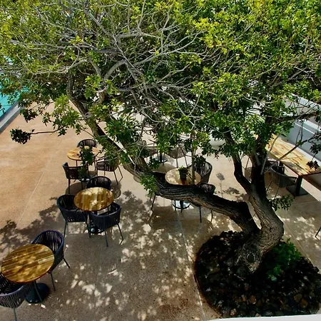מלון Casas Heddy, Well-being 3*