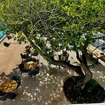Hotel Casas Heddy, Well-being 3*