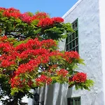 Casas Heddy, Well-being Hotell Puerto del Carmen (Lanzarote)