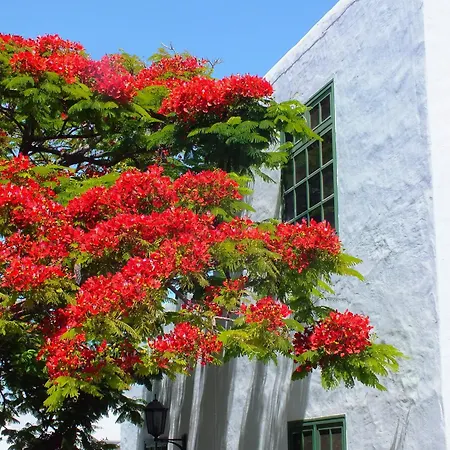 Casas Heddy, Well-being Otel Puerto del Carmen (Lanzarote)