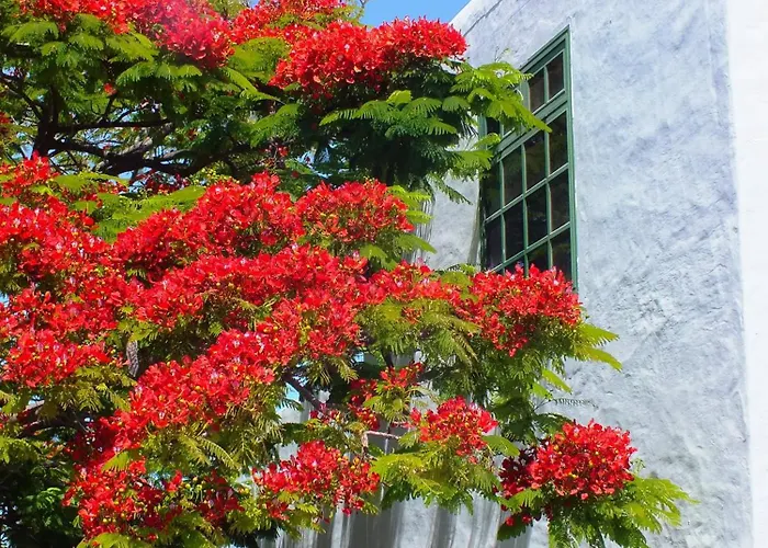 Casas Heddy, Well-being ホテル プエルト・デル・カルメン